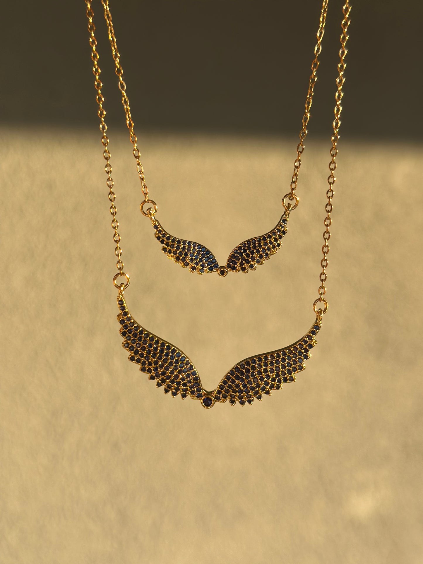 “Aqua Wings”